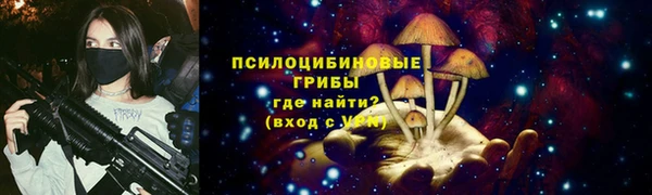 шишки Киреевск