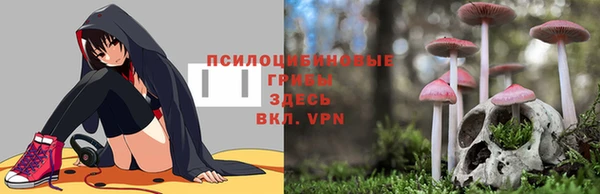 шишки Киреевск