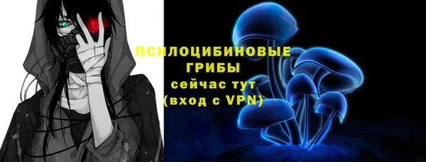 стаф Козельск